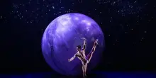 Una stella sulla Walk of fame di Hollywood per Roberto Bolle