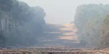 In Francia nuova ondata di caldo estremo mentre si lotta con gli incendi