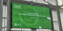 Siccit&agrave;, situazione Lombardia difficile ma primo raccolto &egrave; salvo