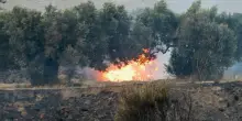 Incendi in Grecia: oltre 7.000 persone evacuate a Creta