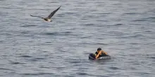 Non &egrave; ancora chiaro quanti siano i morti a Ceuta