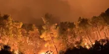 Wwf, nel 2026 incendi in Italia +133% rispetto a ultimi 20 anni