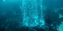 Ingv: a Panarea scoperti camini idrotermali e un grande cratere sottomarino