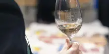 &rdquo;Fiera dei Vini&rdquo; 2026 lancia un concorso nazionale di fotografia