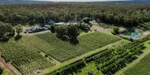 Vino, &ldquo;World&rsquo;s 50 Best Vineyards 2026&rdquo; debutta a Santiago in Cile