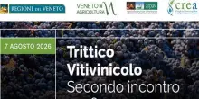 Trittico Vitivinicolo: vendemmia in anticipo tra qualit&agrave; e siccit&agrave;