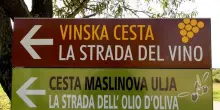 In Istria, da settembre tartufi, vino e produzioni locali