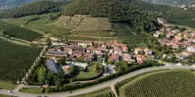 Villa Franciacorta: la vendemmia si decide parcella per parcella