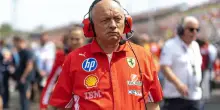 Formula1, ecco Zandvoort. Vasseur: &ldquo;Sfruttare le opportunit&agrave;&rdquo;