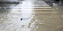 Maltempo, bomba d&rsquo;acqua in Liguria: allagamenti nel Tigullio
