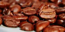 Caro-caff&egrave;, Scocchia (illy): tazzina al bar +24% dal 2021 ma Arabica +80%