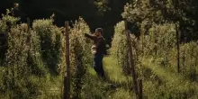 In Val Sarentino nasce la &ldquo;Cucina Nivale&rdquo; tra quota e stagioni