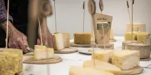 In Valle Aurina dal 5 settembre tornano le &ldquo;Giornate del Graukase&rdquo;