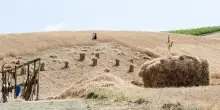 Accise, Giansanti: incentivi sul gasolio anche per l&rsquo;agricoltura