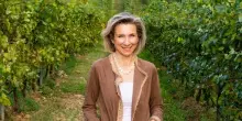 Colli Conegliano Docg: da vigne prime indicazioni molto incoraggianti