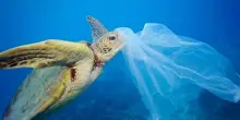 Wwf: Quest&rsquo;anno il Plastic Overshoot Day 2026 arriva il 6 settembre