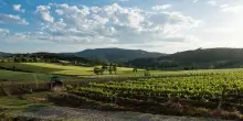 Umbria Top porta 31 Cantine a &ldquo;Umbria Wine&rdquo; da 11 a 13 settembre