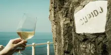 Il 3 ottobre i vini delle Cinque Terre debuttano sulla Via dell&rsquo;Amore