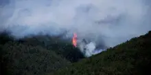 Via a segnalazioni imprese agricole danneggiate da roghi in Sicilia