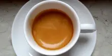 38 Gold medal per l&rsquo;International Coffee Tasting 2026