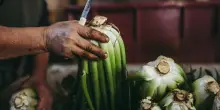 Cnr: con pi&ugrave; luce agli ortaggi aumenta contenuto di vitamina B9