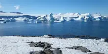 Fusione ghiacciai &egrave; motore calo calotta polare e innalzamento mari