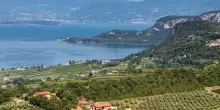Consorzio Bardolino: 20 mln di bottiglie nell&rsquo;anno del Centenario