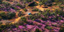 Western Australia, dove l&rsquo;estate si pu&ograve; inseguire tutto l&rsquo;anno