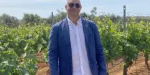 Consorzi e territori raccontano la vendemmia come esperienza turistica