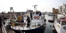 Industria ittica Usa contro sistema Catch Ue: penalizza pesca legale