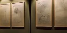 Ad Asolo in mostra 60 collotipie e tre disegni originali di Klimt