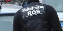 Diciassette indagati tra cui 14 minorenni per propaganda neonazista