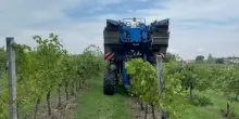Confagricoltura: riduzione 20% carburante agricolo ottima notiza