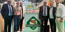 Il Pomodoro Pachino Igp al Fruit Attraction di Madrid