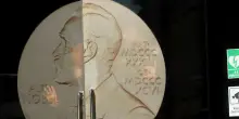 Premio Nobel per la Fisica al belga Francis Halzen