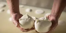 Mozzarella Bufala Dop a Sial Parigi, Francia mercato strategico