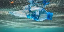 Acqua, Legambiente: pericolo farmaci, PFAS, pesticidi e microplastiche