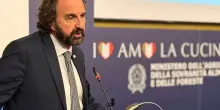 Cibi laboratorio, Fondazione Aletheia: timori per salute e ambiente