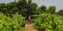 Al TTG di Rimini il forum di Agriturist sul turismo esperienziale