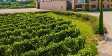 Vino, a Sirmione dal 16 al 19 ottobre debutta il &ldquo;Lugana Festival&rdquo;
