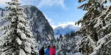 Trenino Verde delle Alpi porta sulla vetta bernese dello Stockhorn