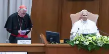 Papa, il cardinale Parolin: suo annuncio un fulmine a ciel sereno