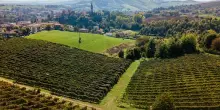 Cantina Settecani cresce dell&rsquo;8% e raggiunge 7,3 mln di ricavi