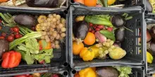 Presentato alla Camera Frigorifero Solidale di Cuki Save the Food