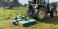 Nocco (FdI): diventa realt&agrave; emendamento rigenerazione olivicola