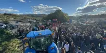 Confcooperative:agricoltori e autotrasportatori stesse difficolt&agrave;