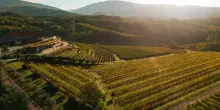Zorzettig inaugura Cantina Viva e collaborazione con D&rsquo;Attoma