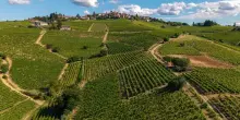 Consorzio Vini d&rsquo;Acqui incontra gastronomia indiana a ProWein Mumbai