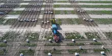 Coprob e Gruppo 3A per valorizzare filiera saccarifera italiana