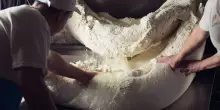 Stop produzione mozzarella bufala Dop per blocco trasporti